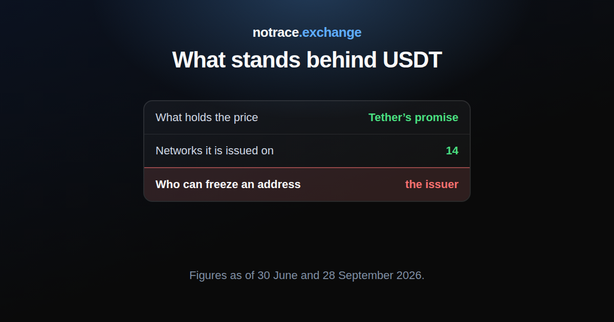 One USDT token and three questions about it: what holds the price, how many networks it exists on and who can freeze an address