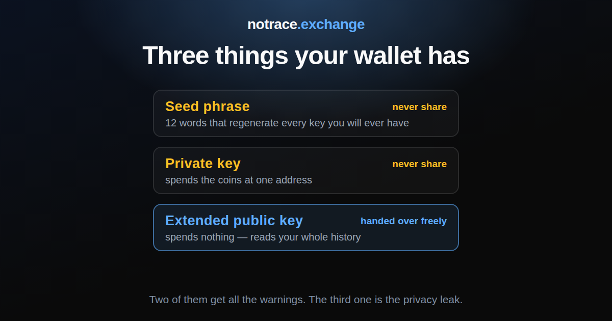 Three things a wallet holds: seed phrase and private key never to be shared, and the extended public key that spends nothing but reads your whole history