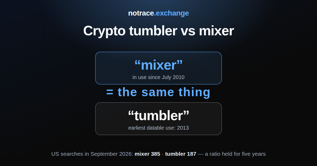 Two words, one thing: "mixer" in use since July 2010, "tumbler" first datable to 2013