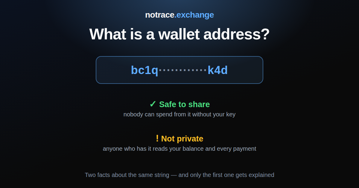 A wallet address: safe to share because nobody can spend from it, not private because anyone who has it reads your balance and every payment