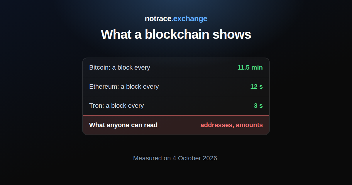 A blockchain and three questions: how often a network closes a block, what a record is made of and what it shows to anyone
